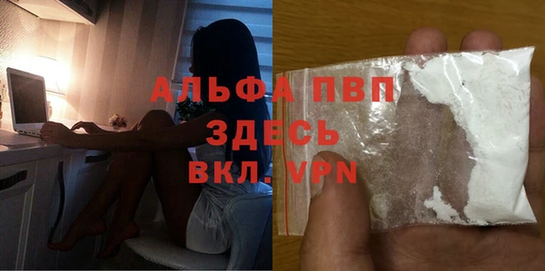 крисы Алексин