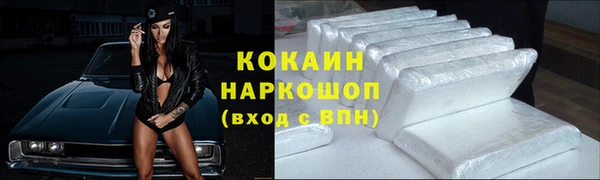 винт Абаза