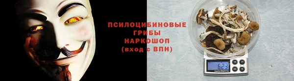 прущая мука Алзамай
