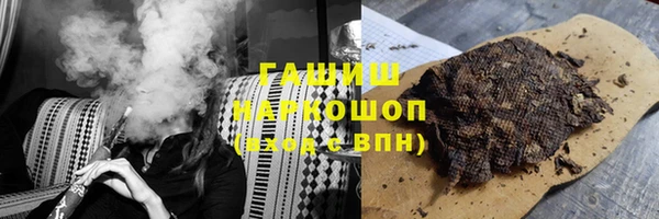 дмт Каменка