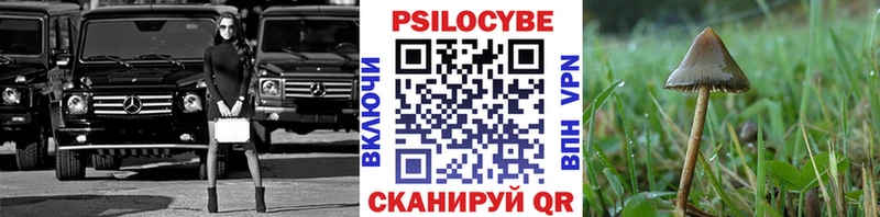 hydra ТОР  Кизилюрт  Псилоцибиновые грибы Magic Shrooms 