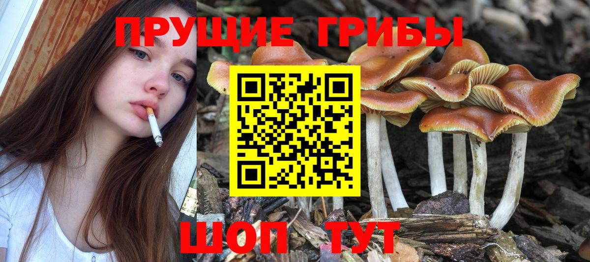 дарнет шоп  Вход с VPN  Кизилюрт  Галлюциногенные грибы мицелий 