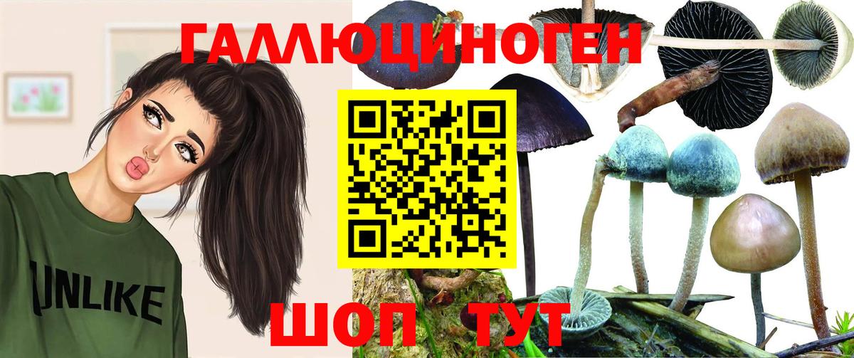 Галлюциногенные грибы MAGIC MUSHROOMS Кизилюрт